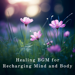 女生自我奖励素材
